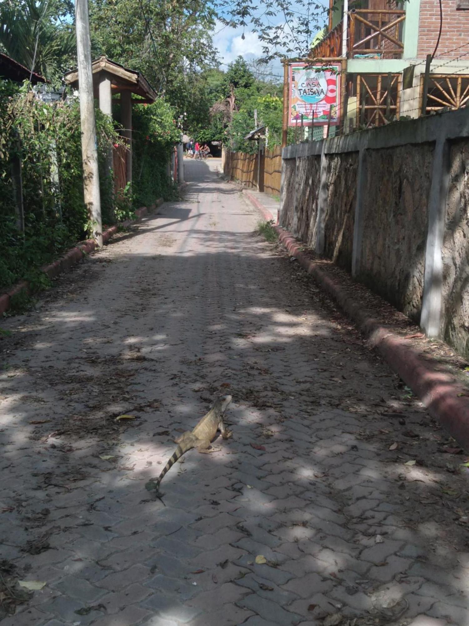 Hostal Casa Taisha Montañita Kültér fotó
