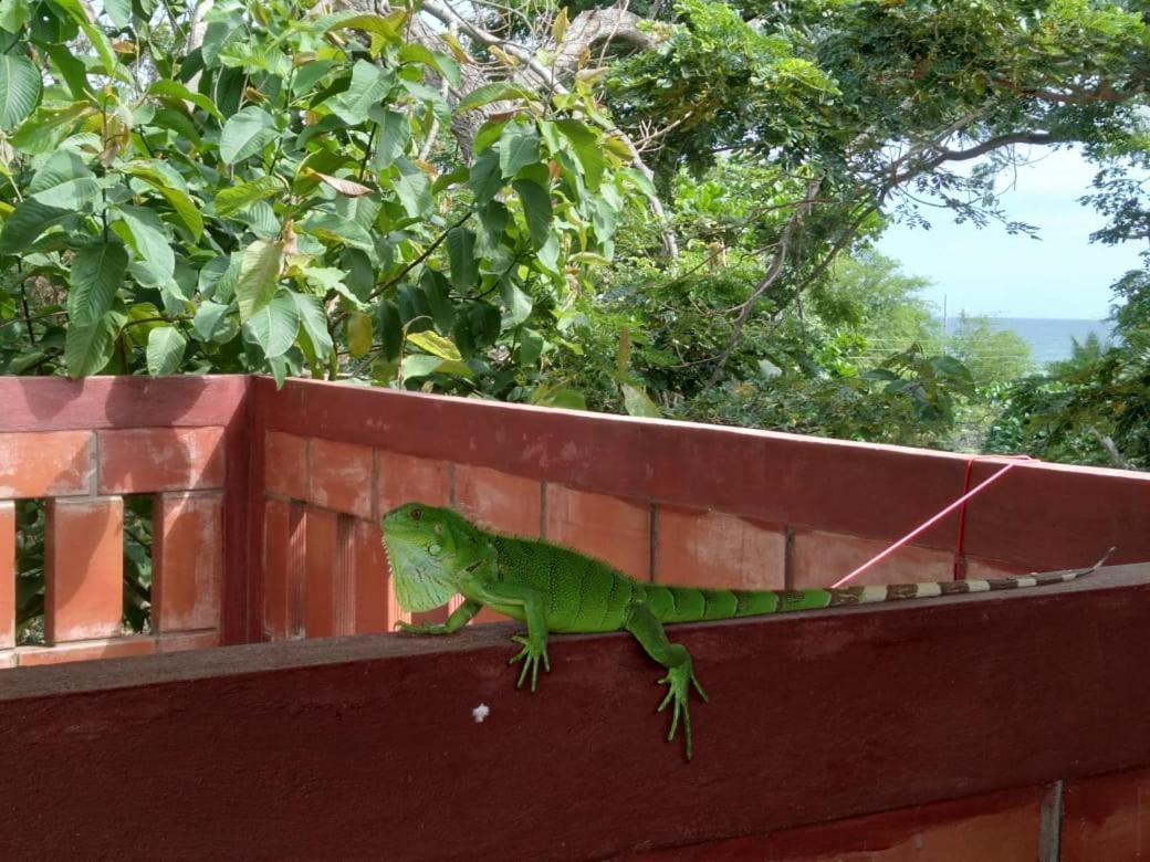 Hostal Casa Taisha Montañita Kültér fotó